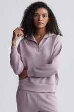 Load image into Gallery viewer, Hawley Half Zip Sweat