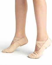 Load image into Gallery viewer, Hanami Canvas