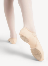 Load image into Gallery viewer, Hanami Canvas Ballet
